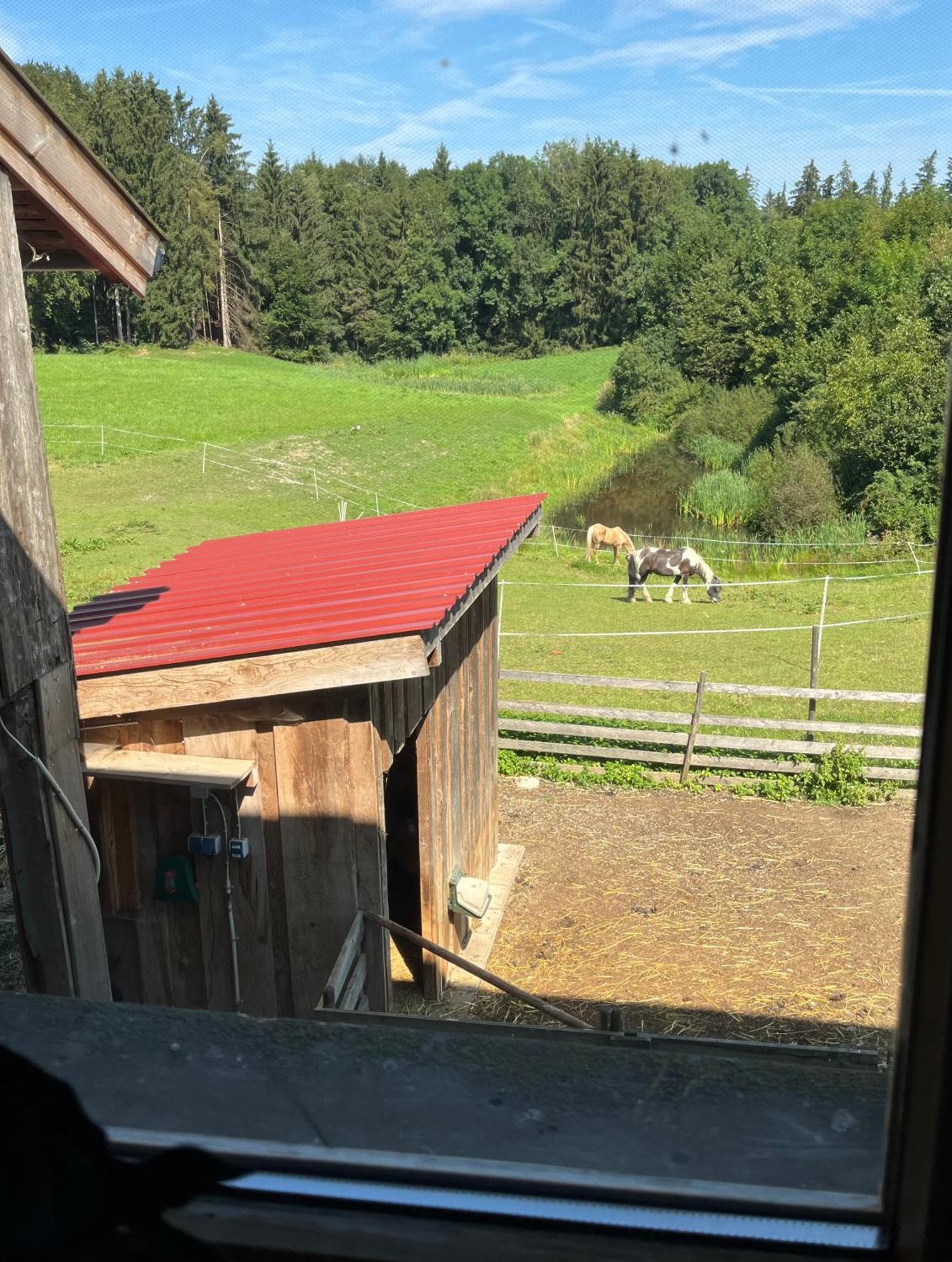 Ferienwohnung Metzner Gars Buitenkant foto