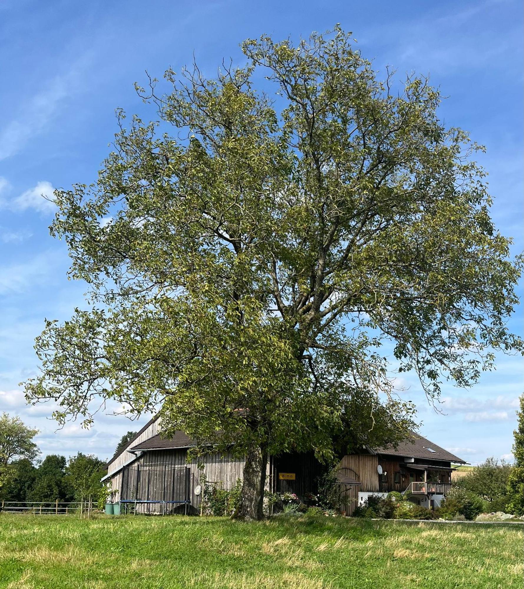 Ferienwohnung Metzner Gars Buitenkant foto